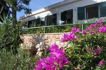 1 Holiday House Harbour Milna Brac (3) 1 Holiday House Harbour Milna Brac (3)