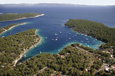 BRac HOlidays  (20)